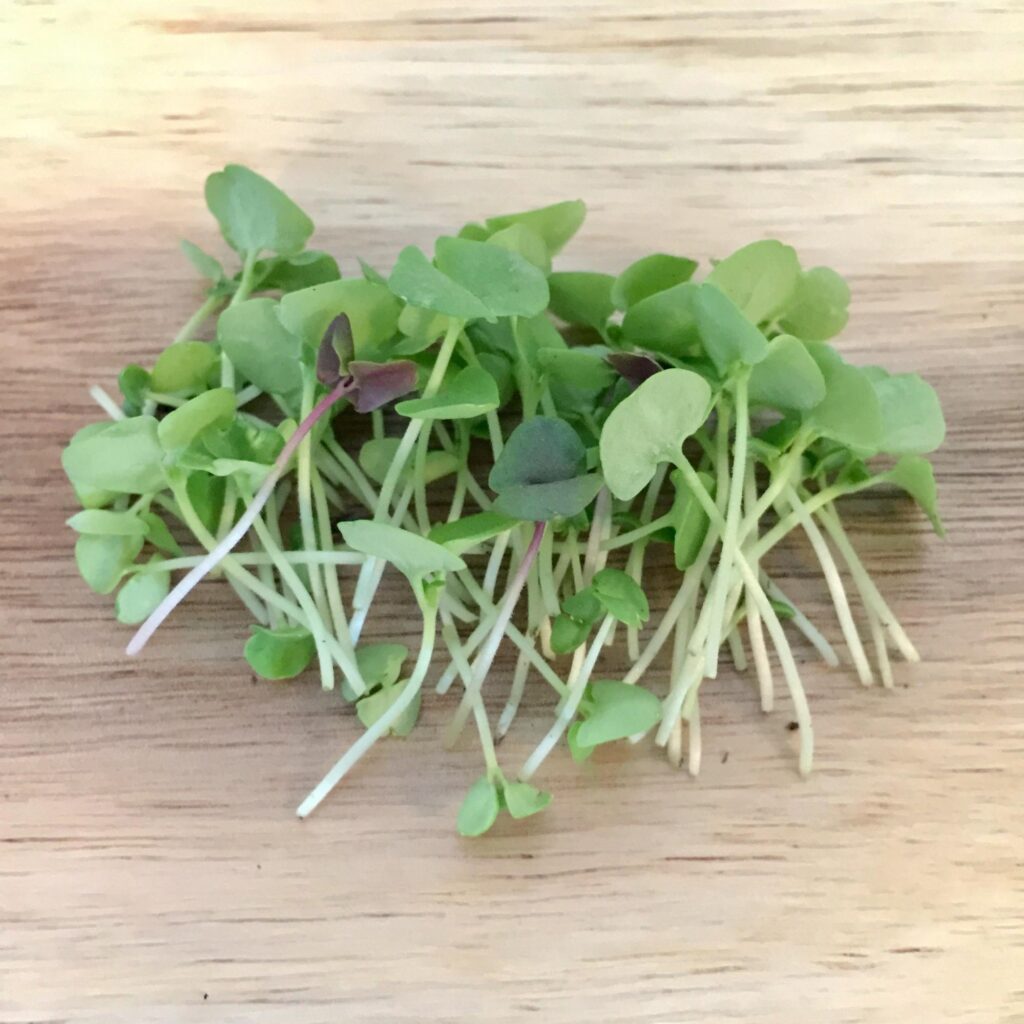 Basil Green Genovese