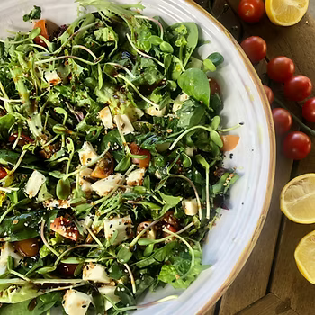 Italian Chopped Salad with Sunflower Microgreens