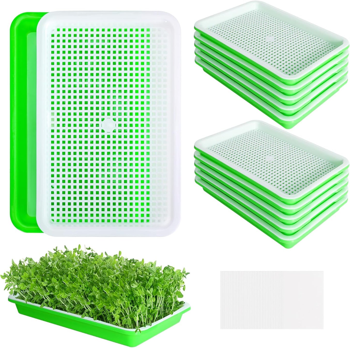 Microgreen Starter Grow Kit